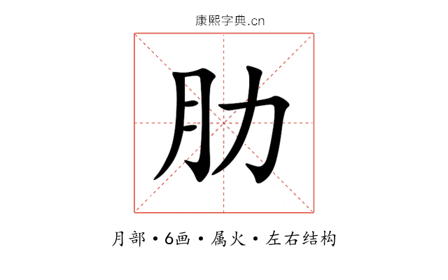 肋 肋